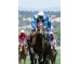  Carrera: P.Beamonte Oaks Monta: R.N.Valle Caballo: Caccia di Diana